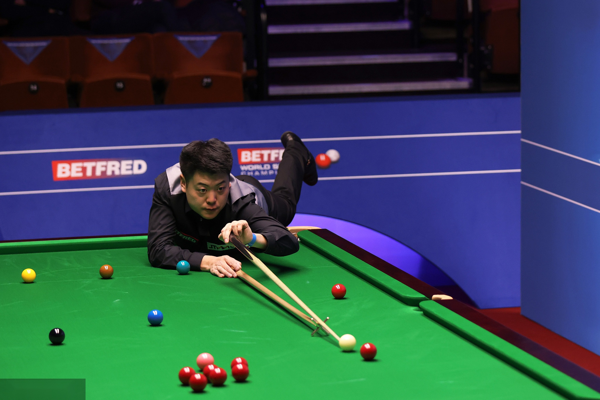 业生涯展示 业生涯展示