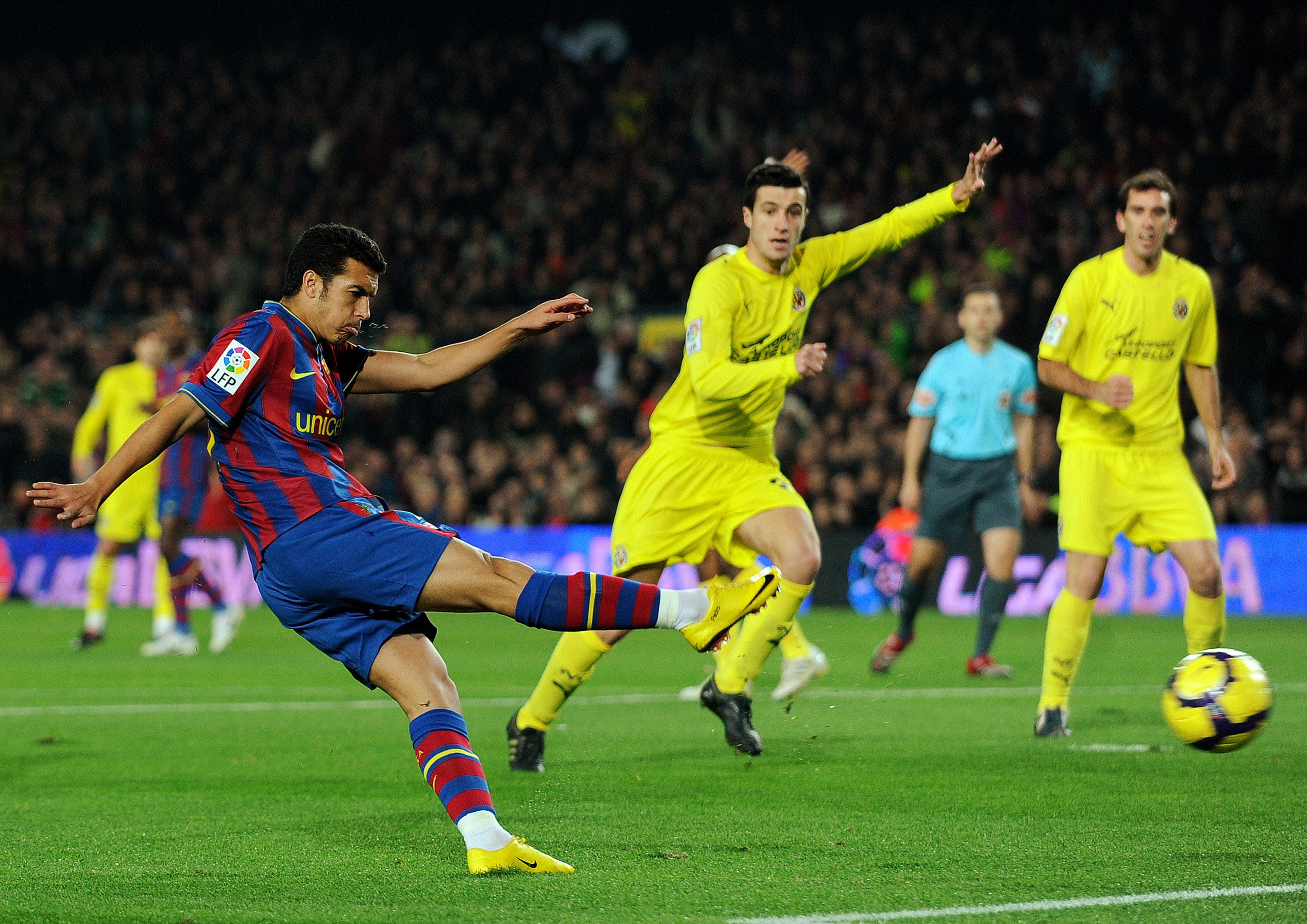 当北风把草 当北风把草