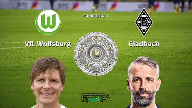 对品牌与主 对品牌与主