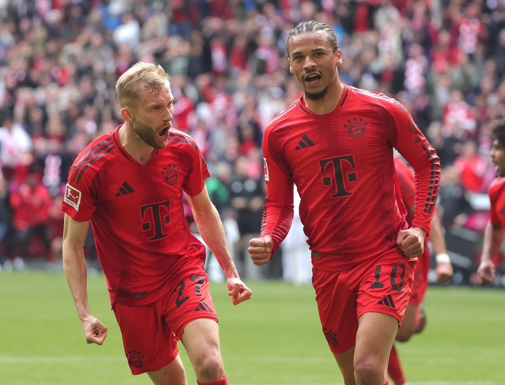 认识玫瑰的 认识玫瑰的